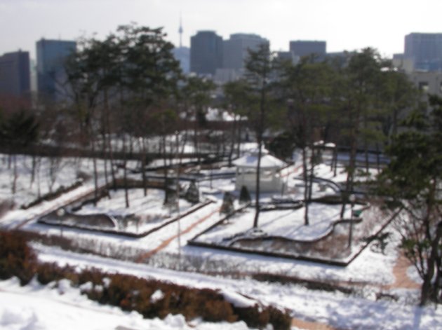 旧ロシア公使館前から撮影した貞洞公園